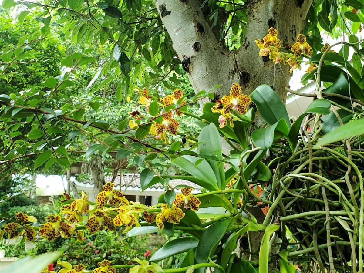 Villa Dieu Thong - Secrect Garden, View San May Va Nui Νταλάτ Εξωτερικό φωτογραφία